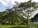 Las mejores fincas de colombia en un solo lugar Colombia Homes Inmobil (Fusagasugá (Chinauta), Cundinamarca)